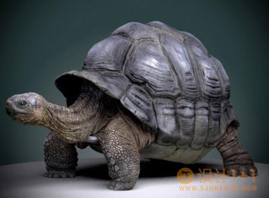 出色的3D动物艺术作品